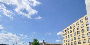 Entlassungen_Headerbild